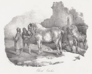 Cheval Cauchois (Um cavalo autóctone de Caux, na Normandia) de Theodore Gericault