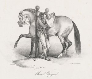 Cavalo Espanhol (A Spanish Horse) de Theodore Gericault