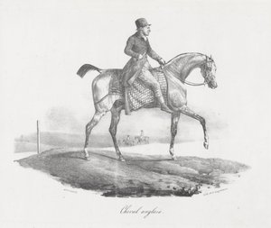 Cavalo inglês (An English Horse) de Theodore Gericault