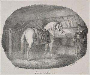 Cavalo hanoveriano. de Theodore Gericault