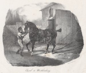 Cavalo de Meclemburgo (A Mecklembourg Horse) de Theodore Gericault