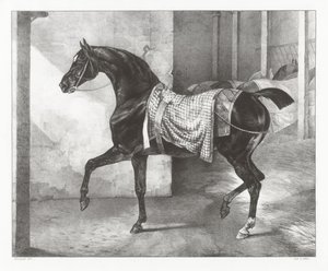 Cavalo preto amarrado num estábulo (A Black Horse Tethered in a Stable) de Theodore Gericault