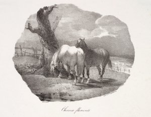 Cavalos flamengos de Theodore Gericault