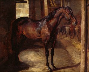 Dark Bay Horse no estábulo