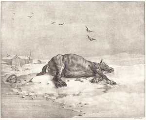 Cavalo morto de Theodore Gericault