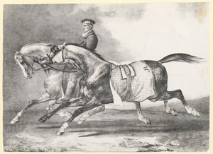 Dois cavalos cinzentos malhados a serem passeados (Two Dapple-Grays Being Exercised) de Theodore Gericault