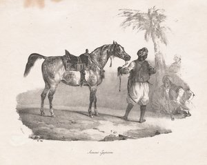 égua egípcia de Theodore Gericault