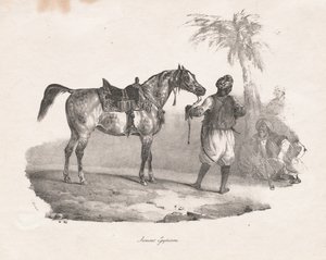 Égua egípcia, 1822. de Theodore Gericault