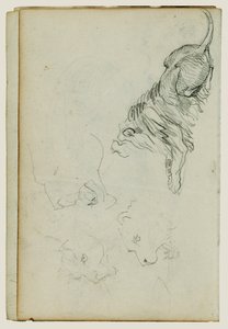 Quatro estudos de leões de Theodore Gericault
