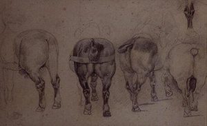 Cavalos arreiados (lápis) de Theodore Gericault