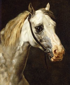 Cabeça de um cavalo malhado, de Theodore Gericault