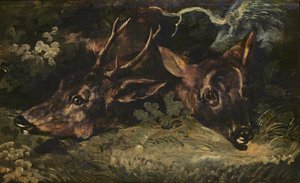 Cabeças do cervo das ovas, 1815 de Theodore Gericault