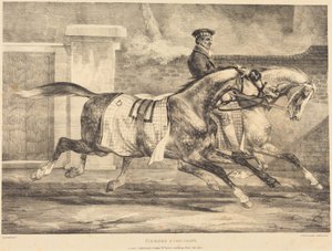 Cavalos a fazer exercício de Theodore Gericault