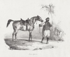 Égua egípcia (An Egyptian Mare) de Theodore Gericault