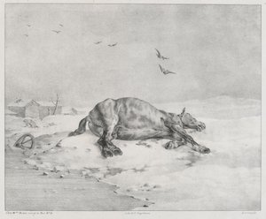 O Cavalo Morto (The Dead Horse) de Theodore Gericault