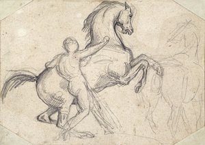 Criação de garanhão realizada por um homem nu de Theodore Gericault