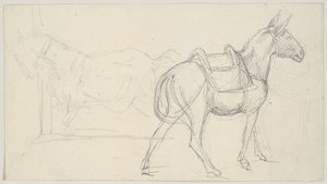 Esboço de um cavalo de Theodore Gericault