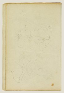 Esboços da cabeça e das patas traseiras de um leão de Theodore Gericault