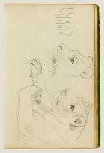 Estudos sobre a cabeça e as patas dianteiras de uma leoa de Theodore Gericault