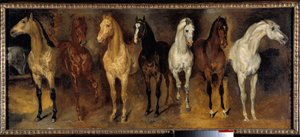 Os peitos Sete cavalos da frente. Pintura de Theodore Gericault (1791-1824) Sol do século XIX. 0,39x0,94 m Colecção privada - Sete peitos de cavalo (vista de frente). Pintura de Theodore Gericault (1791-1824) de Theodore Gericault