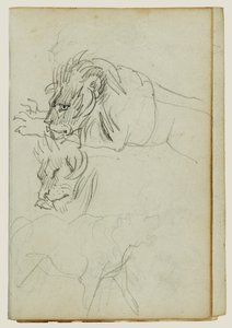 Três estudos de leões de Theodore Gericault