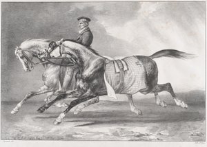 Dois cavalos cinzentos malhados a fazer exercício de Theodore Gericault
