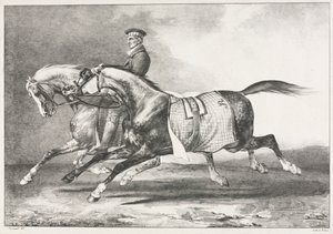 Exercício de dois cavalos malhados de Theodore Gericault