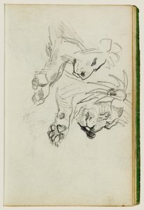 Dois estudos sobre leões de Theodore Gericault