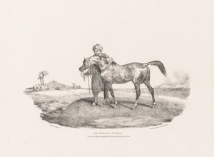 Vários temas inspirados na vida real e esculpidos em pedra: Um cavalo árabe de Theodore Gericault