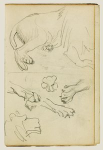 Vários estudos de perna, patas e cabeça de leão de Theodore Gericault