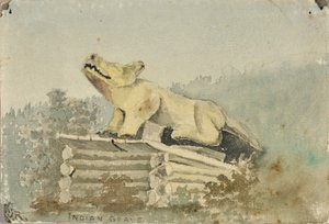 Sepultura Indiana. Wolf Totem sobre Medicine Man Grave, Wrangell, ca. 1880-1914.