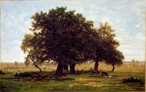 Um grupo de carvalhos, Apremont (Óleo sobre tela