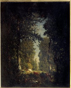 Uma avenida, a floresta de Isle Adam. Pintura por Theodore Rousseau (1812-1867)