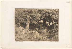 Carvalhos sobre rochas
Chênes de Roche (título original) de Theodore Rousseau