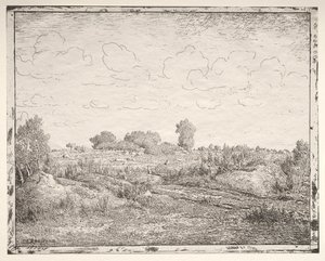 A Planície das Plantas em Biau de Theodore Rousseau