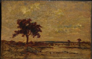 Pântanos, não datado (óleo sobre painel de madeira) de Theodore Rousseau