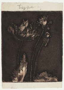 Últimas papoulas de Theodore Roussel