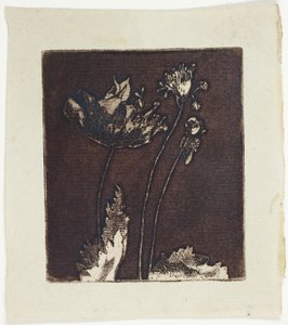 Últimas papoulas de Theodore Roussel