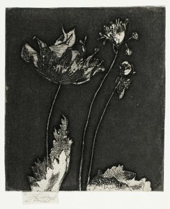 Últimas papoulas de Theodore Roussel