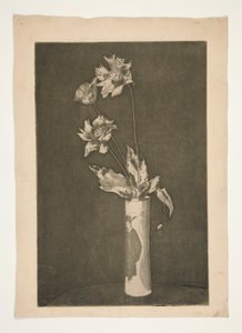 Prova para La Chine (versão a preto e branco) de Theodore Roussel