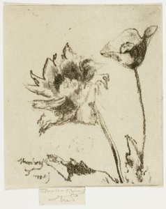 Duas flores de Theodore Roussel