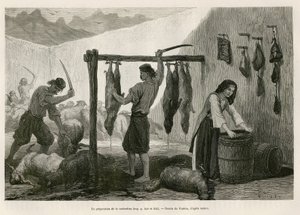 A preparação da castradina, especialidade de carne de ovino e caprino salgada e bucana, no final de Outubro, na Dalmácia (Ístria e Herzegovina (Croácia)), desenho de Valerio, para ilustrar a viagem ao Montenegro, em 1874, de Charles Yriarte