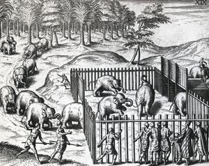 Caça ao elefante no reino de Pegu, hoje Myanmar, por Theodor de Bry (1528-1598), gravura de Theodore de Bry