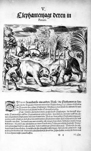 Combate de elefantes, 1606 de Theodore de Bry