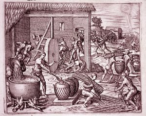 História da América: colheita de cana de açúcar e produção de açúcar por escravos indígenas que trabalham para os conquistadores espanhóis (Engraving de Theodore de Bry