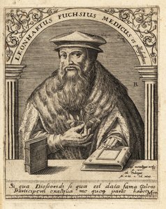 Leonhart Fuchs, médico e botânico alemão 1501-1566 . de Theodore de Bry