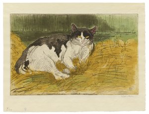 Gato velho preto e branco na grama de Théophile Alexandre Steinlen