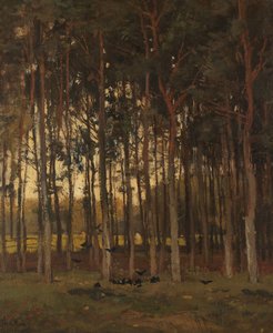 Vista no Bosque