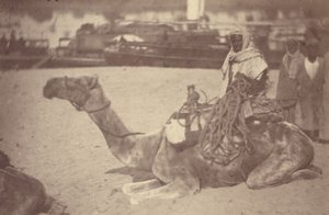 [ Um homem norte-africano num camelo na margem do Nilo]. de Théodule Devéria