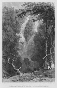 Stock-Gill Force, Westmorland (gravura) de Thomas (after) Allom
